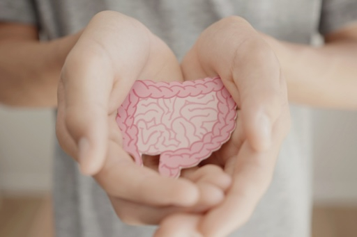 Gut as a second brain