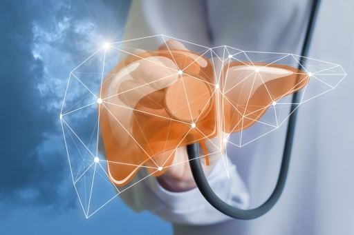 Die Darm-Leber-Achse: Wie die Darmgesundheit die allgemeine Gesundheit beeinflusst