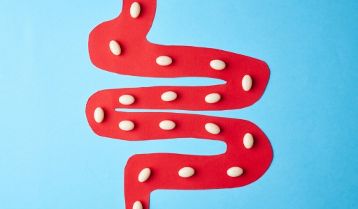 Präbiotika, Probiotika und Synbiotika: Wirksame Werkzeuge zur Wiederherstellung der Darmgesundheit – Die Rolle von Sorbentien in der umfassenden Therapie