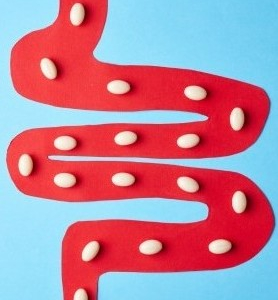 Präbiotika, Probiotika und Synbiotika: Wirksame Werkzeuge zur Wiederherstellung der Darmgesundheit – Die Rolle von Sorbentien in der umfassenden Therapie