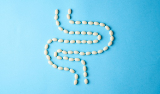 What is the gut microbiome: Why is its balance so important for the body, and what influences it?