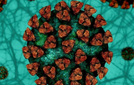 Gastrointestinale Manifestationen bei einer Infektion mit dem neuartigen Coronavirus