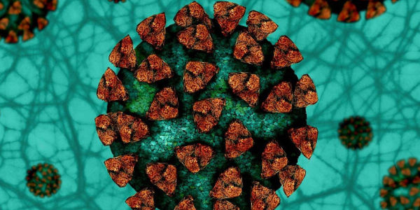 Gastrointestinal Manifestations of Infection with the Novel Coronavirus