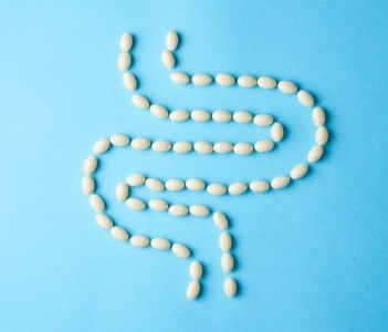What is the gut microbiome: Why is its balance so important for the body, and what influences it?