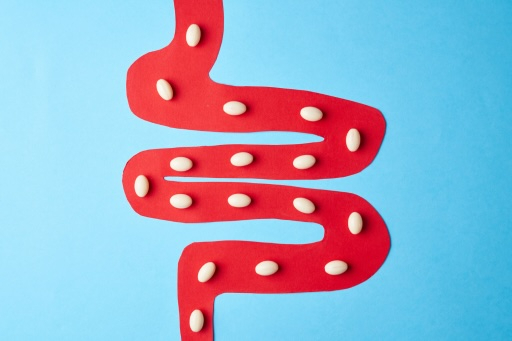 Präbiotika, Probiotika und Synbiotika: Wirksame Werkzeuge zur Wiederherstellung der Darmgesundheit – Die Rolle von Sorbentien in der umfassenden Therapie