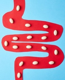 Präbiotika, Probiotika und Synbiotika: Wirksame Werkzeuge zur Wiederherstellung der Darmgesundheit – Die Rolle von Sorbentien in der umfassenden Therapie