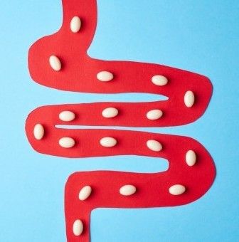 Prebiotika, probiotika a synbiotika: účinné nástroje pro obnovu zdraví střev. Role sorbentů v komplexní terapii