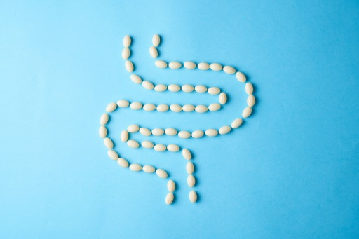 What is the gut microbiome: Why is its balance so important for the body, and what influences it?