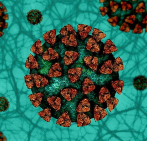 Gastrointestinale Manifestationen bei einer Infektion mit dem neuartigen Coronavirus