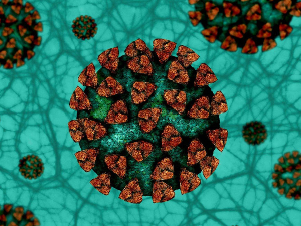 Gastrointestinale Manifestationen bei einer Infektion mit dem neuartigen Coronavirus