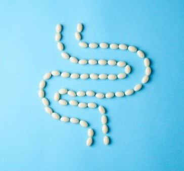 Was ist das Darmmikrobiom: Warum ist sein Gleichgewicht für den Körper so wichtig und was beeinflusst es?